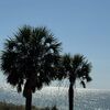 khallman0709